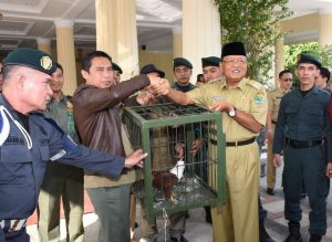 Bupati Majalengka Serahkan 15 Ekor Satwa Dilindungi Milik Masyarakat Kepada Kementerian Lingkungan Hidup dan Kehutanan