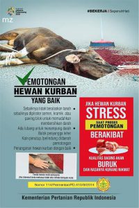 Pemotongan Hewan Kurban yang Baik
