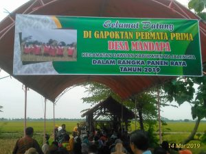 Wakil Bupati Hadiri Panen Raya Padi di Desa Mandapa